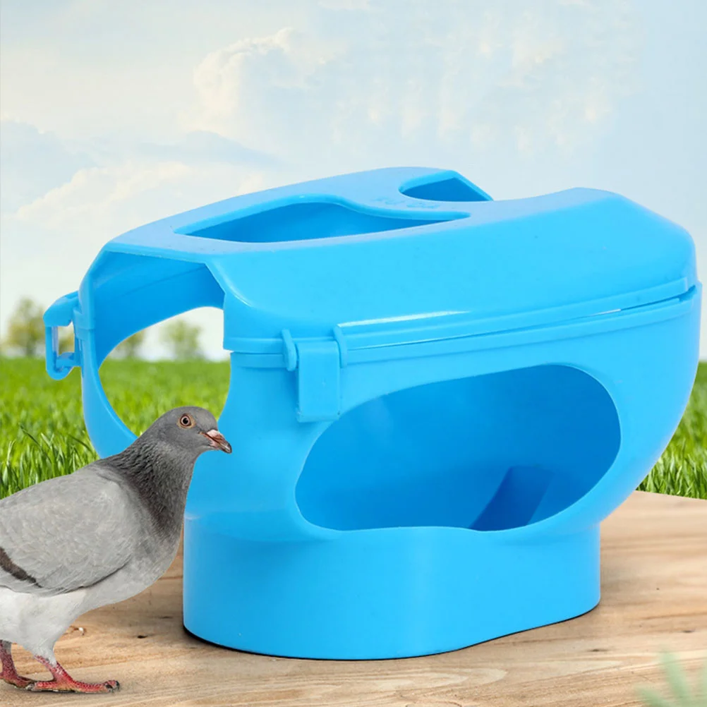 6 Pcs Budgie Pigeon Retainer Ring Hollow Out Holder Fixture Pen Sky-blue Feeding Travel