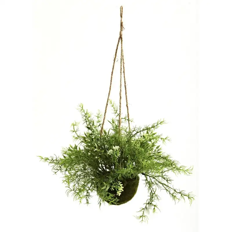 

Mini Ruscus, Sedum & Sprengeri Green Plastic Artificial Plants in Hanging Basket (3 Pieces)