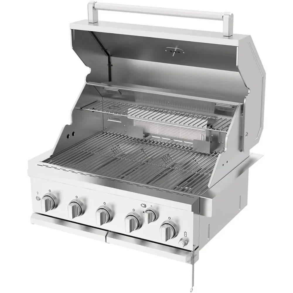 Grill built-in head, 5-Burner with Rear Burner Propane Grill, Convertible to Natural Gas, 30 inches In 3050R Island Grill Head 2