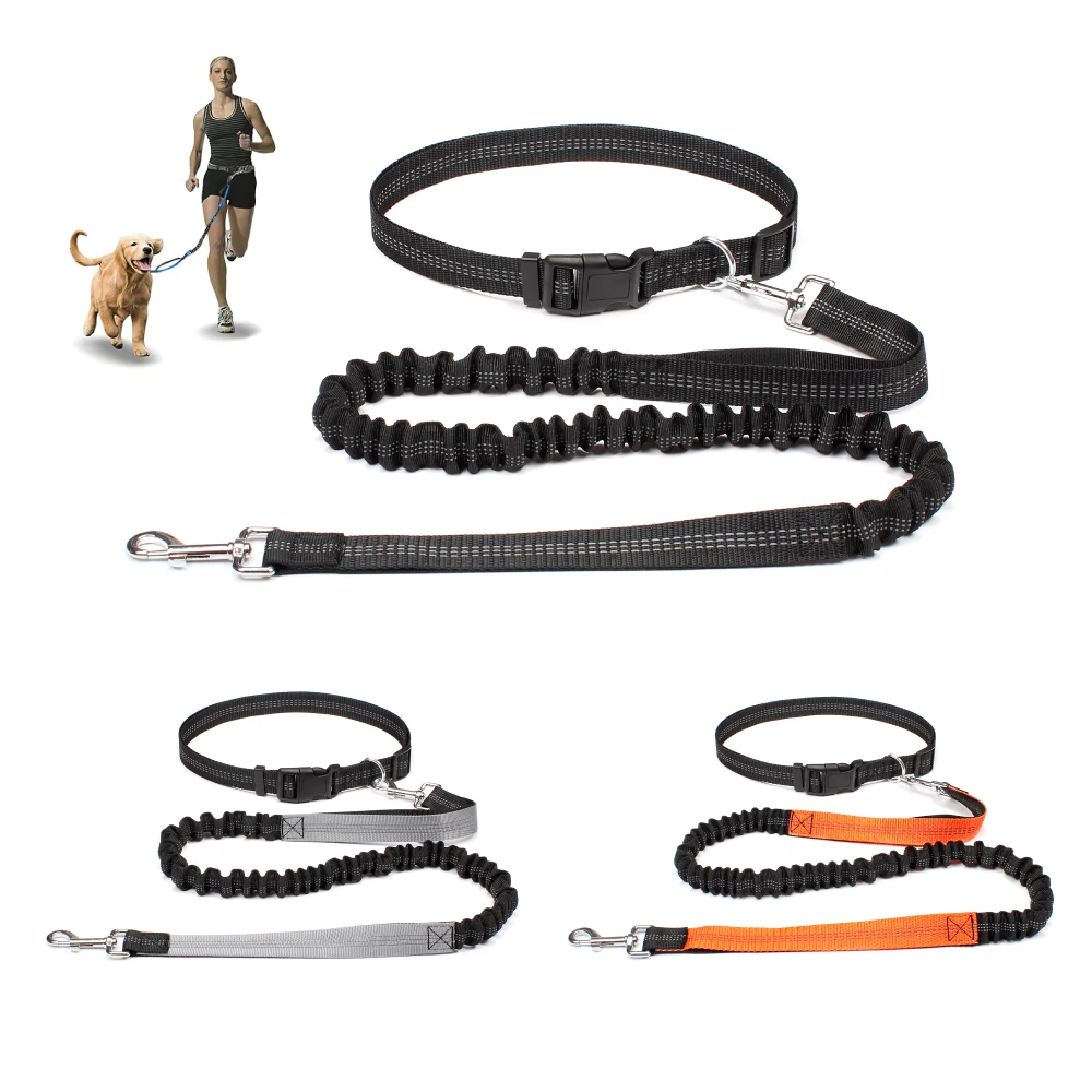 Hands Free Dog Leash 1