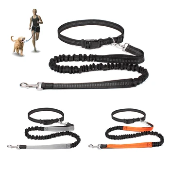 Hands Free Dog Leash 1