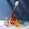 Nordic Modern Ins Style Creative Hydroponic Transparent Glass Vase Living Dining Room Desktop Decor Personalized Art Ornament 1