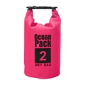2L Pink
