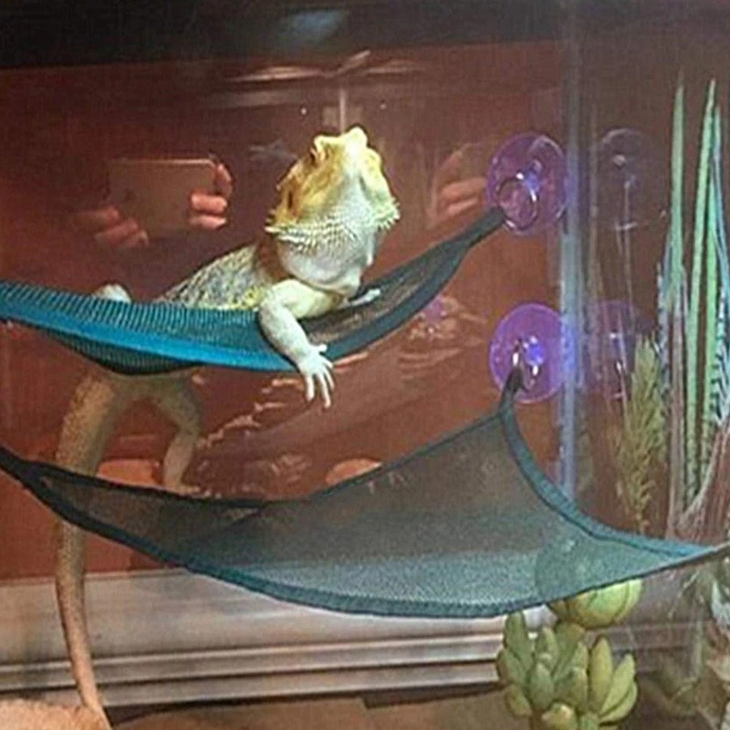 Reptile Hammock Lounger 2