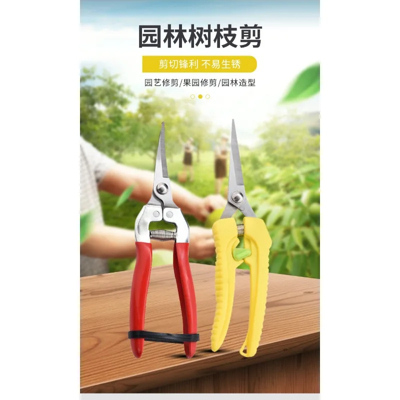 

Tilted Head Garden Tools Stainless Steel Tree Cutter Sawtooth Type Multi-functional Household Fruit Picking Scissors