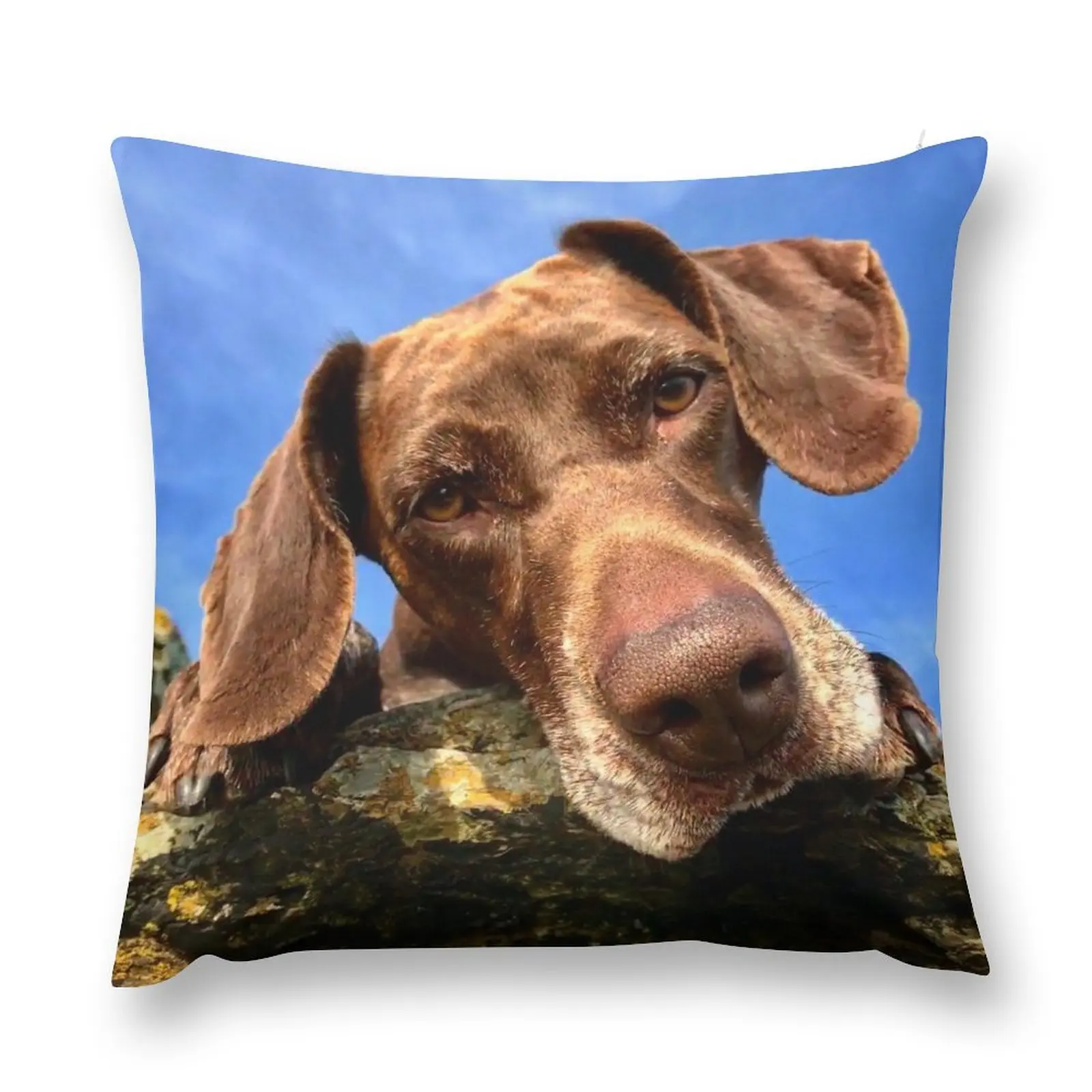

Luna the lunatic gsp Throw Pillow covers for pillows Marble Cushion Cover Sofa Covers For Living Room