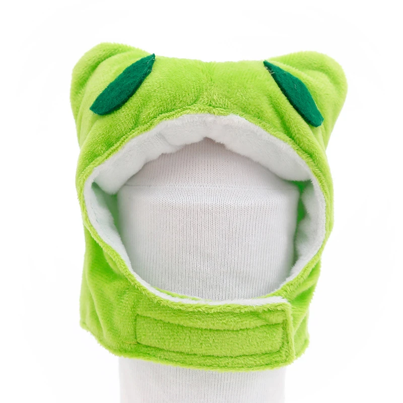 frog