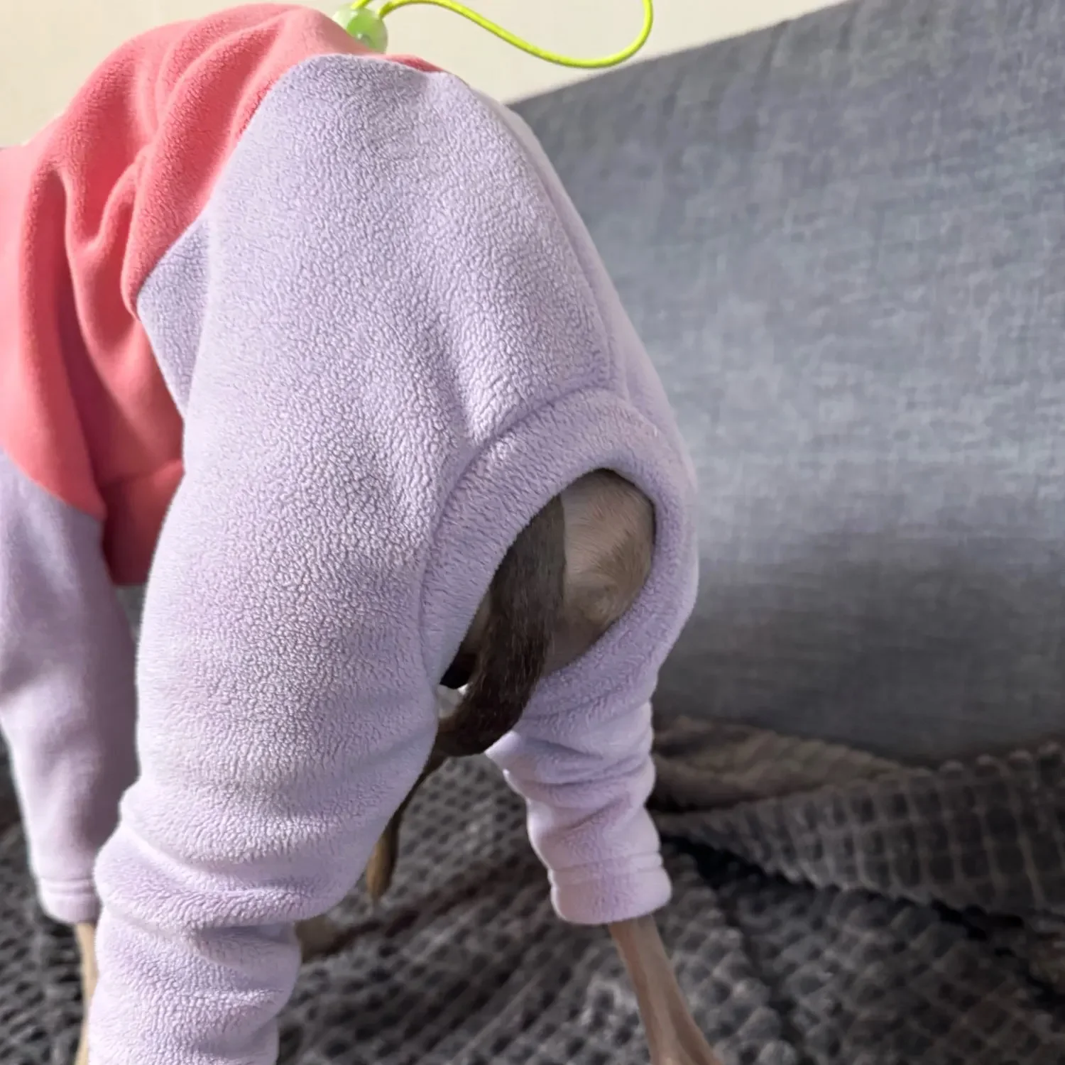Warmer gelber Fleecepullover für Italien, Windhund, weiches 4-beiniges High-Neck-Sweatshirt, winddichter Wintermantel für Pudel, Teddy, mittelhoher Hund – Detail 16