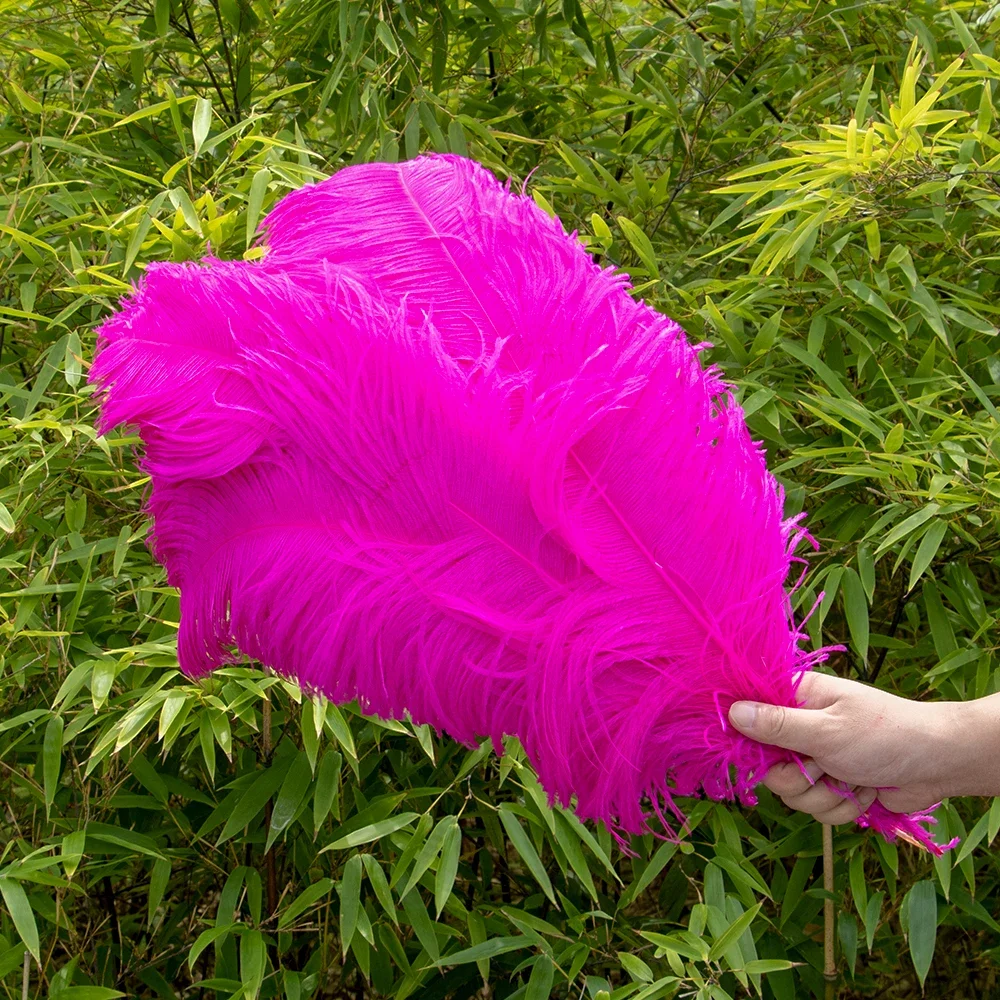 thumbnail image 1 of 10 piezas/lote de plumas de avestruz blancas naturales para manualidades, 15-45 cm, decoración de bodas, fiestas, centros de mesa, carnaval, Plumas Deco, 1 of 5