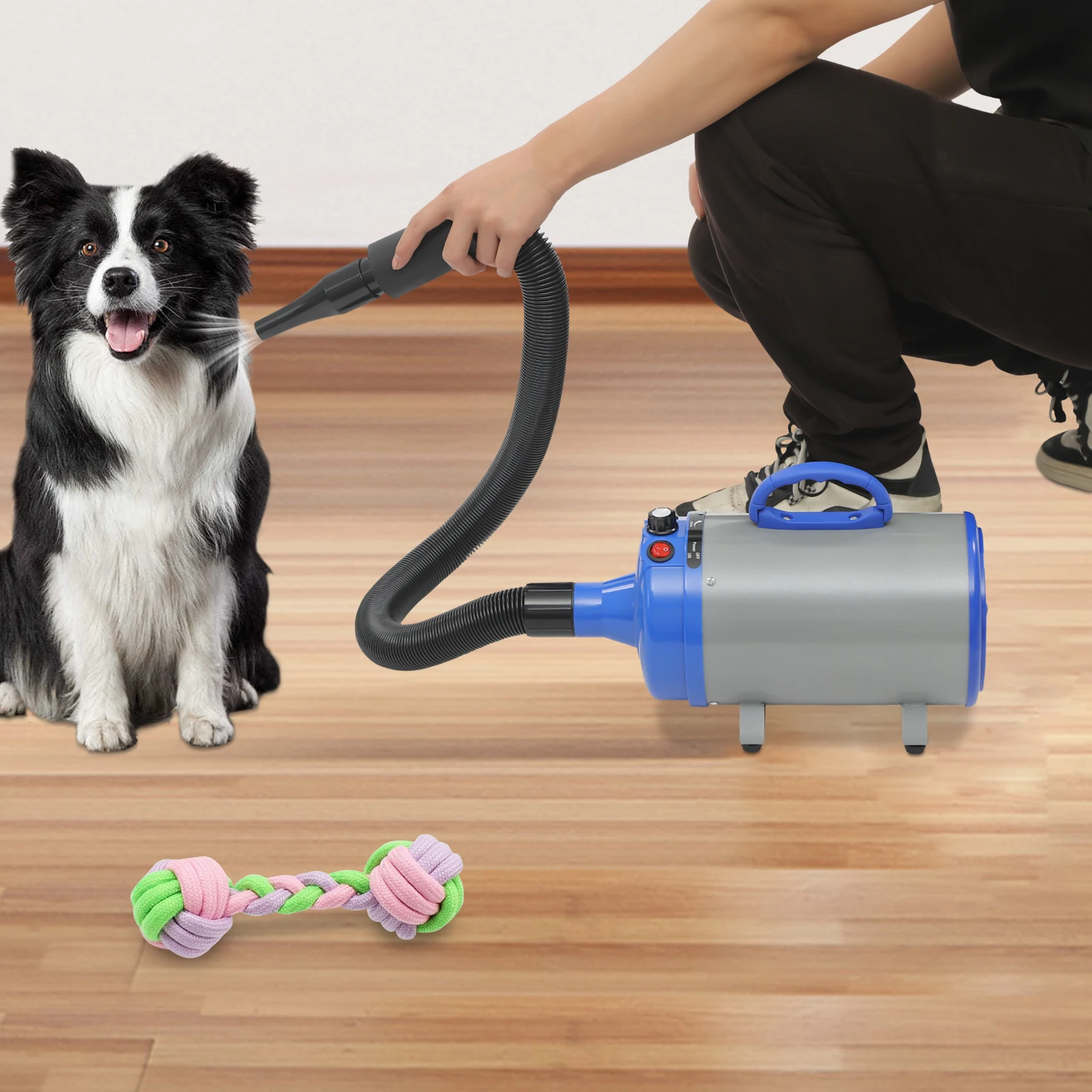 2200W Pet Hair Dryer Adjustable Design Wind Speed Electric Dog Cat Hair Dryer Pet Drying Machine with 4 Nozzles