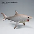 Shark-8