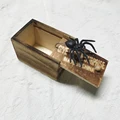 Black box spider