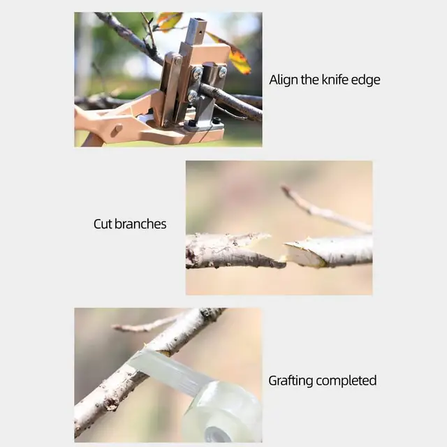 Oltó Készlet V-Vágású Szerszámfa Nem Csúszás Nélküli Fogantyúval Éles Bypass Metsző Olló - Image 5