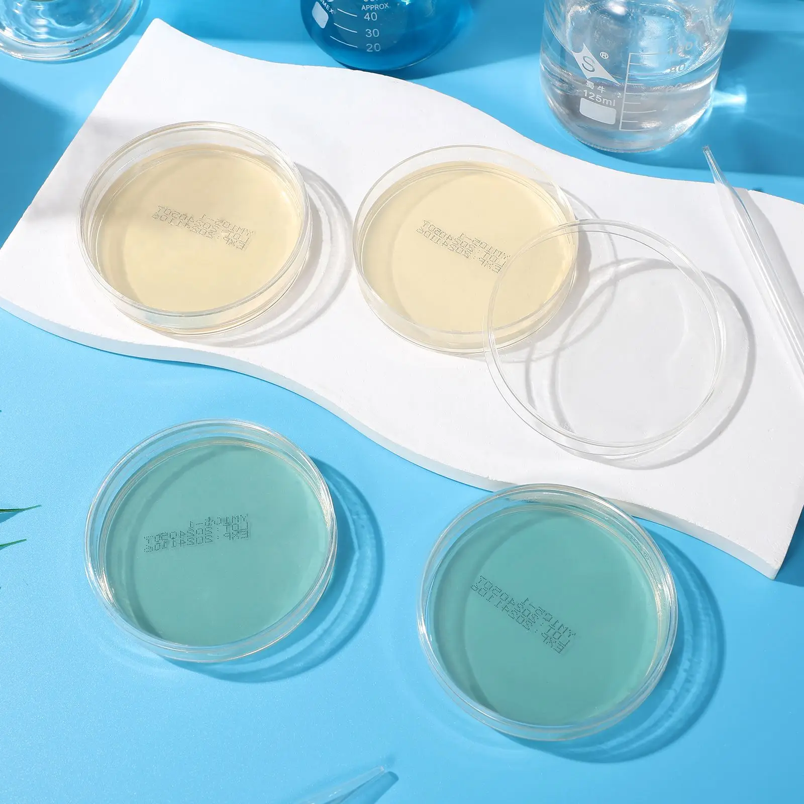 Petri Dishes 10pcs Prepoured Agar Plates Agar Petri Dishes Tissue Culture Plate Laboratory Dishes Science Experiment Supplies