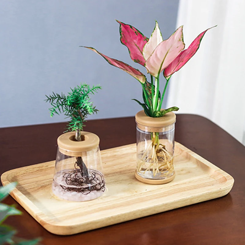 Transparent Hydroponic Flower Pot Imitation Glass Soilless Planting Potted Green Plant Resin Flower Pot Home Vase Decor 3