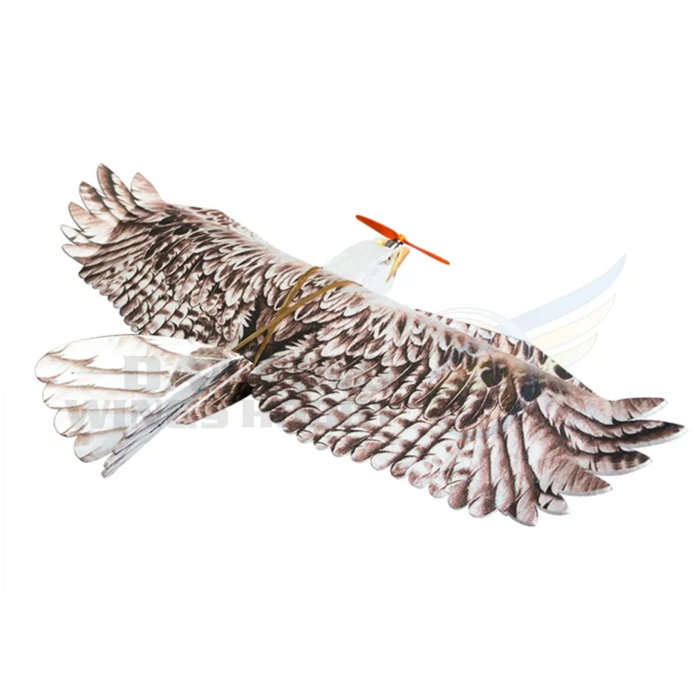 DW Hobby NEW Foam Glider RC Plane Biomimetic Mini Eagle Model Aircraft Wingspan 1200mm Slow Flyer Airplane Trainer for Beginners 3