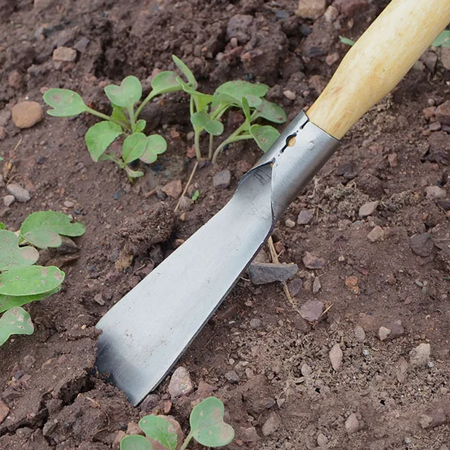Mini Kerti Szerszámok Készlet Kis Lapáttal Fa Fogantyú Fémfej Rozsdamentes Acél Vaskerti Irodai És Családi Kertészethez - Image 5