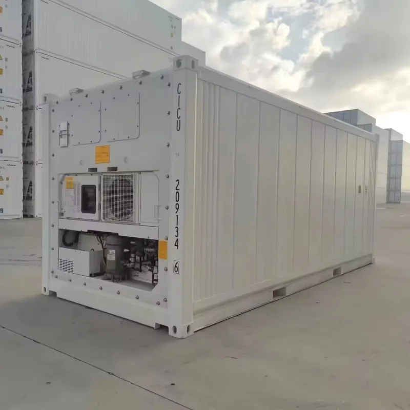 Solar Powered Mobile Cold Room 20ft Container Freezer Off Grid Walk in Storage for Meat Vegetable Fruit Customized Cold Storage 1