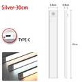 Silver 30CM