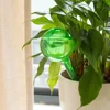 1-10PCS Automatic Plant Watering Bulbs Shape Flower Plant Water Dripper Lightweight Houseplant Device Drip Irrigation System 3