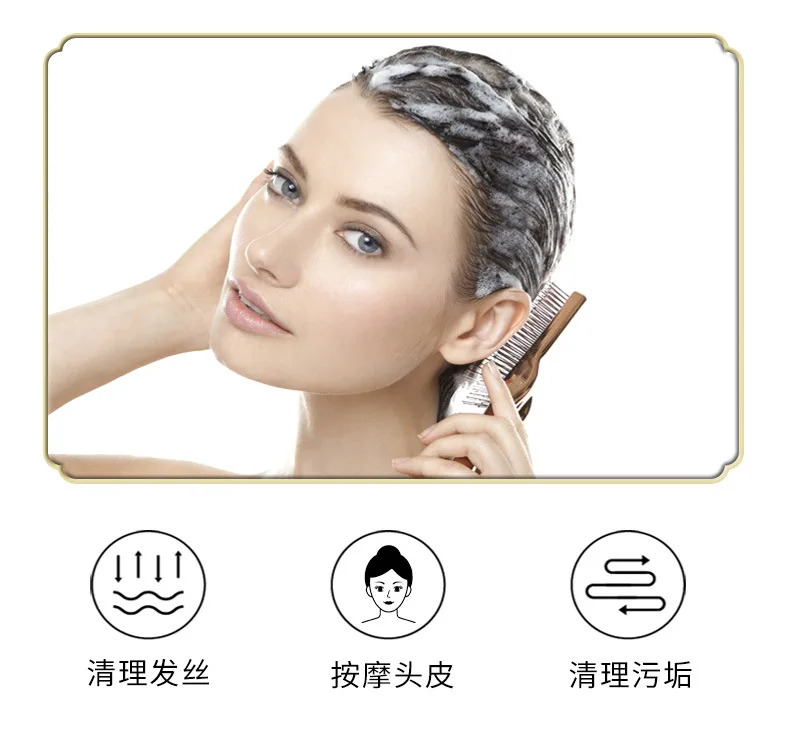 마사지기 빗 두피 청소 케어 건식 및 습식 휴대용 헤어 브러시 대 ARTISTIC & CO Dr.Scalp THE BRASHU 두피 케어