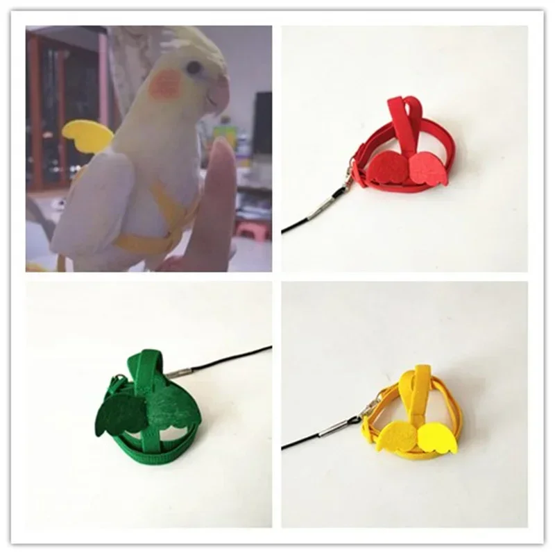 Bird Harness Leash For Bird