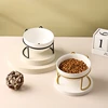 Ceramic Bowl for Kittens and Puppies 500ML Pet Water Feeder Cat Food Dispenser with Elevated Stand Ideal Cat Accessory Feeding 6