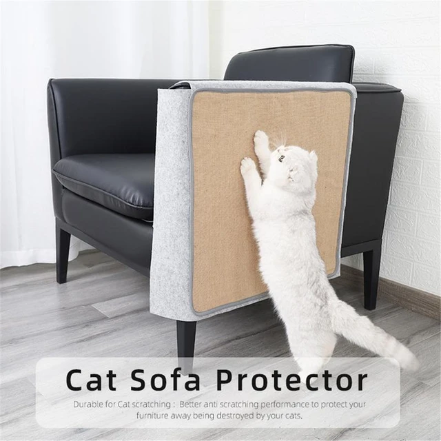 How to Protect Your Sofa from Cat Scratches, Pets