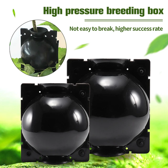 5 db Újrafelhasználható Vágás Oltó Gyökérgömb Gyökér Gyökérgolyó Tenyésztés Csemete Szaporodási Doboz Kerti Növény Termesztési - Image 2