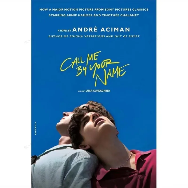 

English Version Please Call Me By Your Name English Books Movie Book of The Same Name