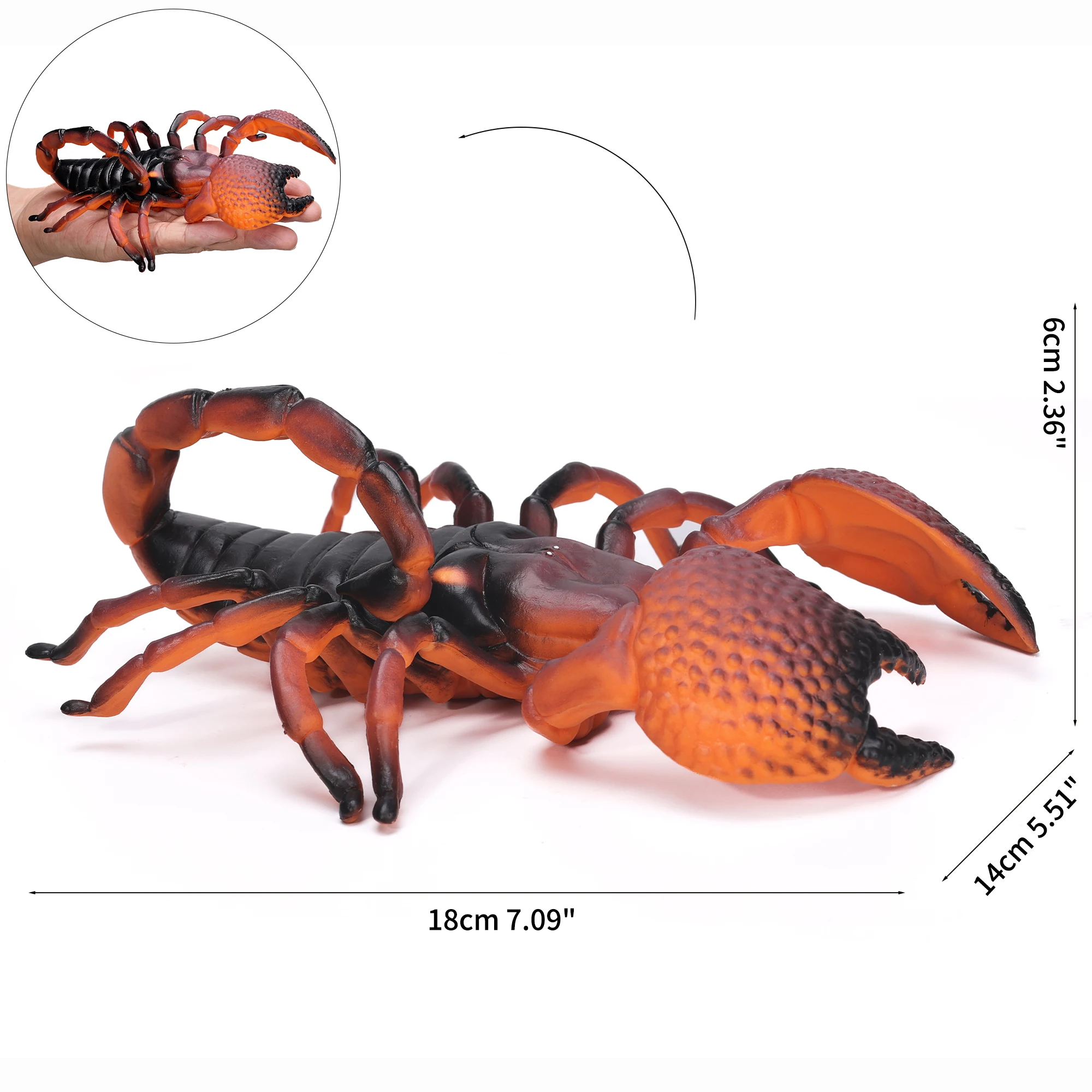 Large Insect Animal Figurines Set - Spider, Scorpion, Ladybug, Dragonfly, Beetle - Educational and Halloween Toy