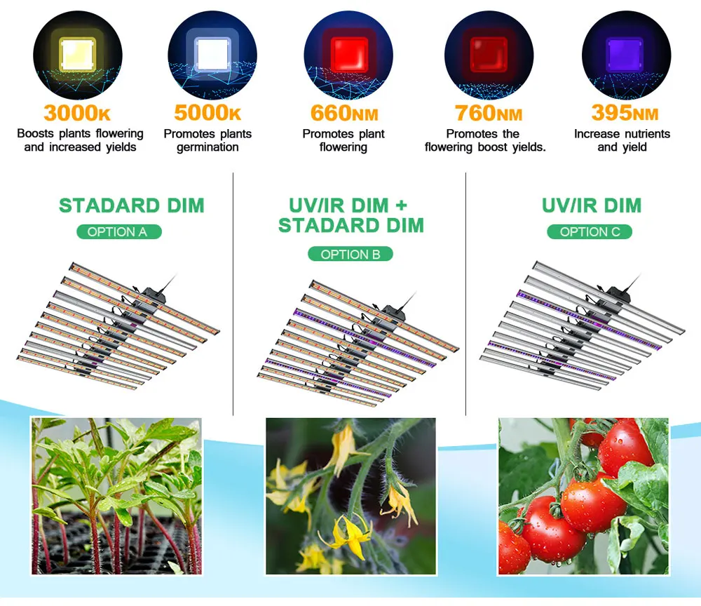 Рисунок 4 - Led Grow Light Samsung LM301H 1000