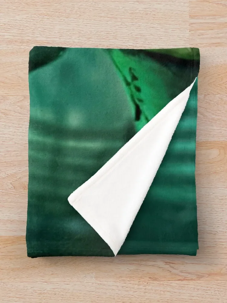 �� ���� �ִ� ������ ������ ���, ��� ǫ���ϰ� ǫ���� �� ���, ���� ķ�� ���