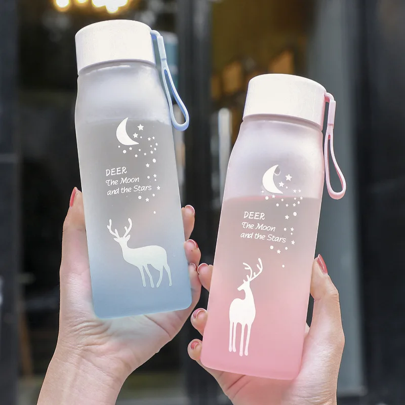 280ml Summer Clear Frosted Water Bottle Simple Fresh Male Female Students  Gift Cup Portable Outdoor Water Bottle Sport Fitness - Water Bottles -  AliExpress