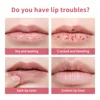 Pink Honey Almost Lipstick Tinted Lip Balm in Black Honey Powerful Lip Repulper Remove Dark Lips Lipbalm Exfoliating for Lips 6