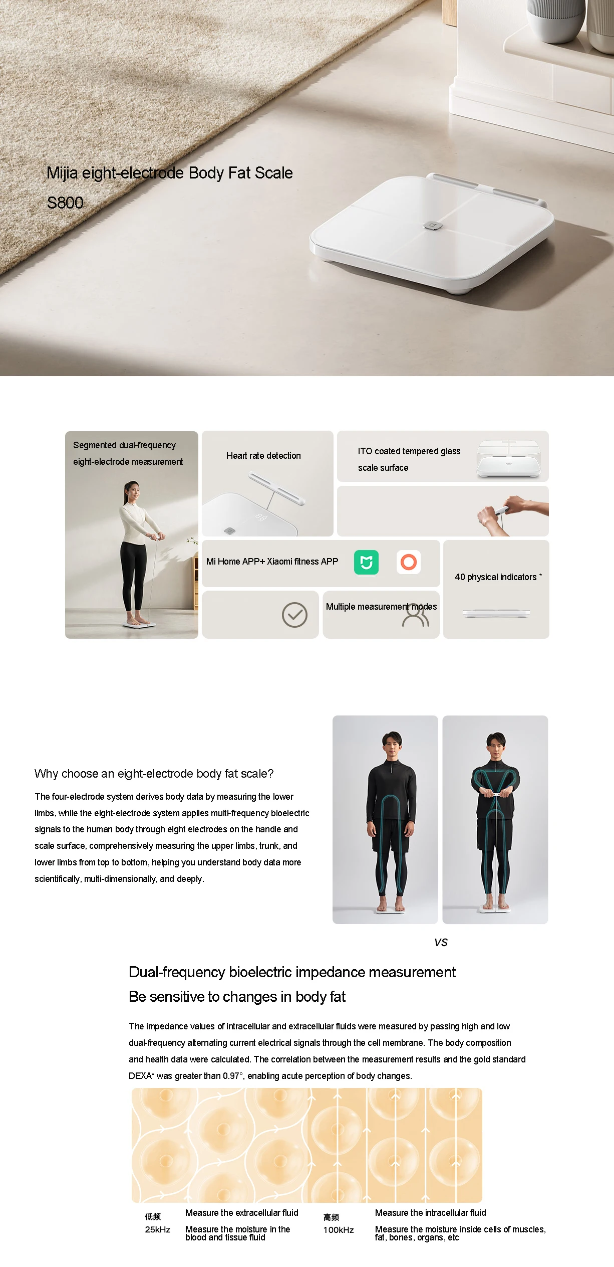 Xiaomi Mijia S800 Smart Body Fat Scale description image