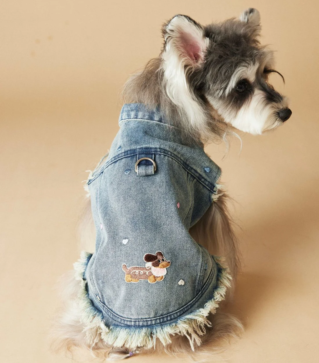 Sleeveless Cowboy Vest for Dogs, Tony Bears Dog Tank Top, Teddy, Schnauzer Bears, Marquis, Love, Spring, Summer, New