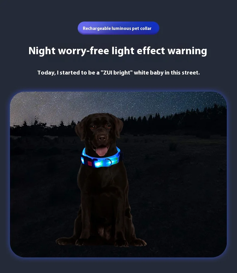 Colorful LED Luminous Collar Rechargeable Luminous Dog Rope Nylon - PeticaDeals