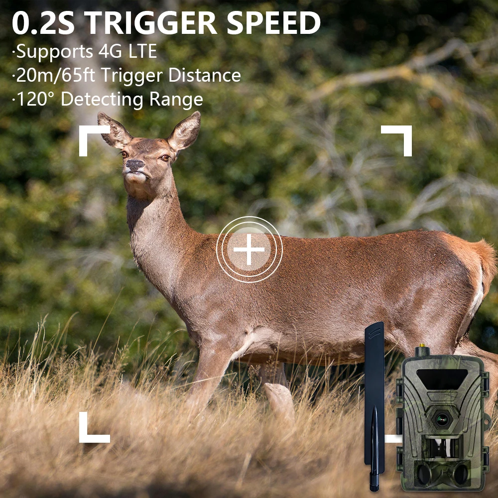 4G Hunting camera 4K day and night use wild trail camera with cloud, photo and video viewed on Apps. water proof, low glow light 5