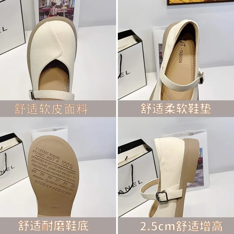 Spring and Autumn Straight Line Shoes with Shallow Mouth Slip-on Shoe Round Toe Soft Soled Thick Heel Shoes for Women