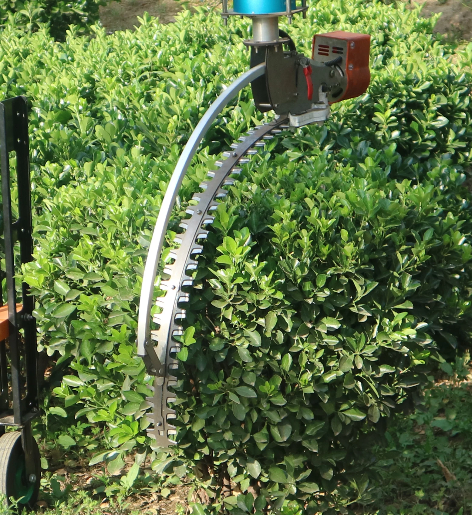 Automatic hedge trimmer deals