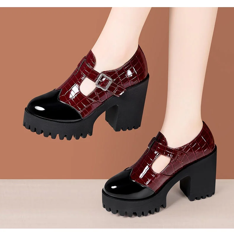 10cm Small Size 32-42 Deep Mouth Bright Leather Mary Janes Women's Platform Pumps 2025 Fall Block High Heels Shoes Office Model S4cf9aa5ab0fb401c9fdc19b742e49f76t