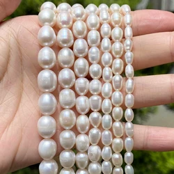 Premium Natural Freshwater Pearl Rice - Shaped Beads - 8 - 9mm (Class AA)