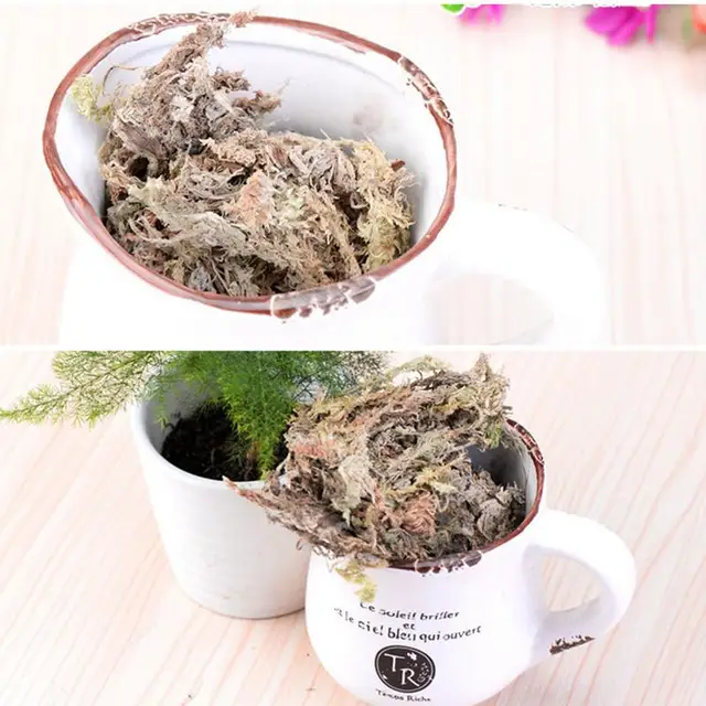 Szárított Mohás Cserepes Növényekhez Sphagnum Moha Organikus Műtrágya Virághoz És Növények Hidratáló Táplálkozási - Image 4