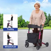 Elderly Disabled Rehabilitation Walking Assist Rollator Walkers Aluminum Alloy Folding Pulley Training Mobility Aids Scooter 1