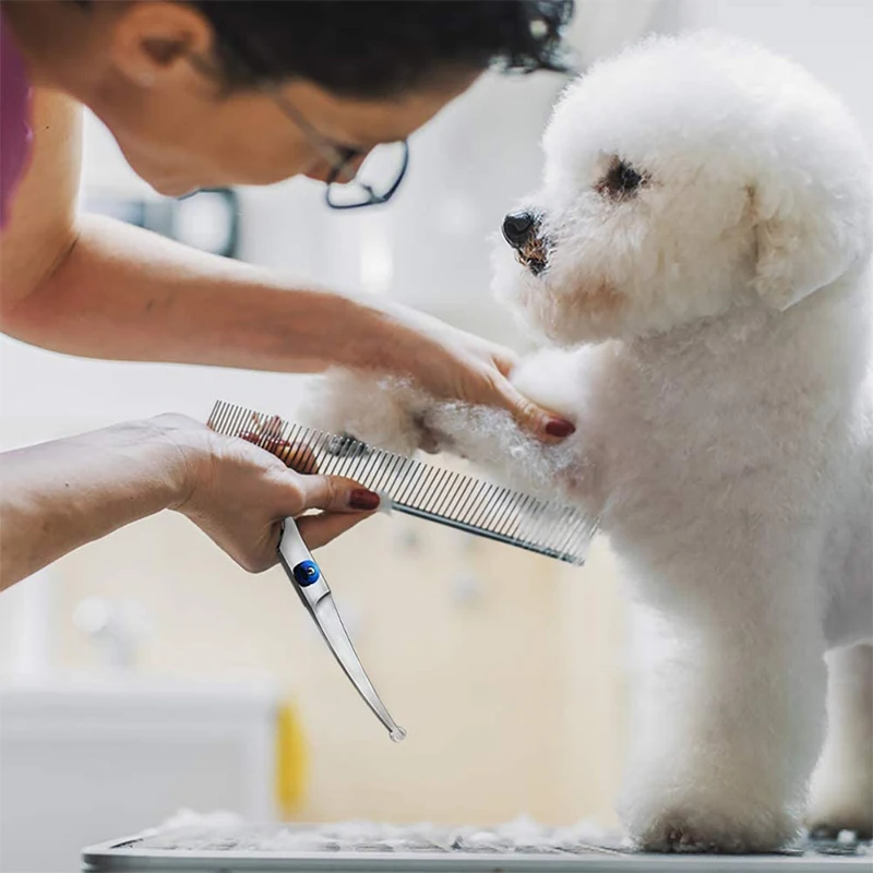 Dog Grooming Scissors Round Head Professional Stainless Steel Pet Shears Animal Cutting Portable Kit