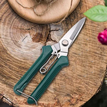 Pruning Scissors 1