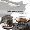 Ceramic Bowl with Metal Stand for Cat, Pet Food, Snack Bowl, Feeding Drinking Elevated Feeder, Kitten and Puppy Dish, Pet Supply 3