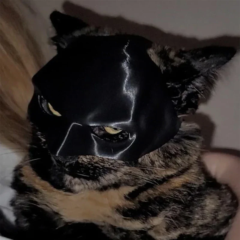 Schwarze Matte Fledermaus-Katzenmaske Superhelden-Haustier-Spielzeug für Katzen und Hunde Gruseliges Schmink-Party-Kostüm-Accessoire – Detail 5