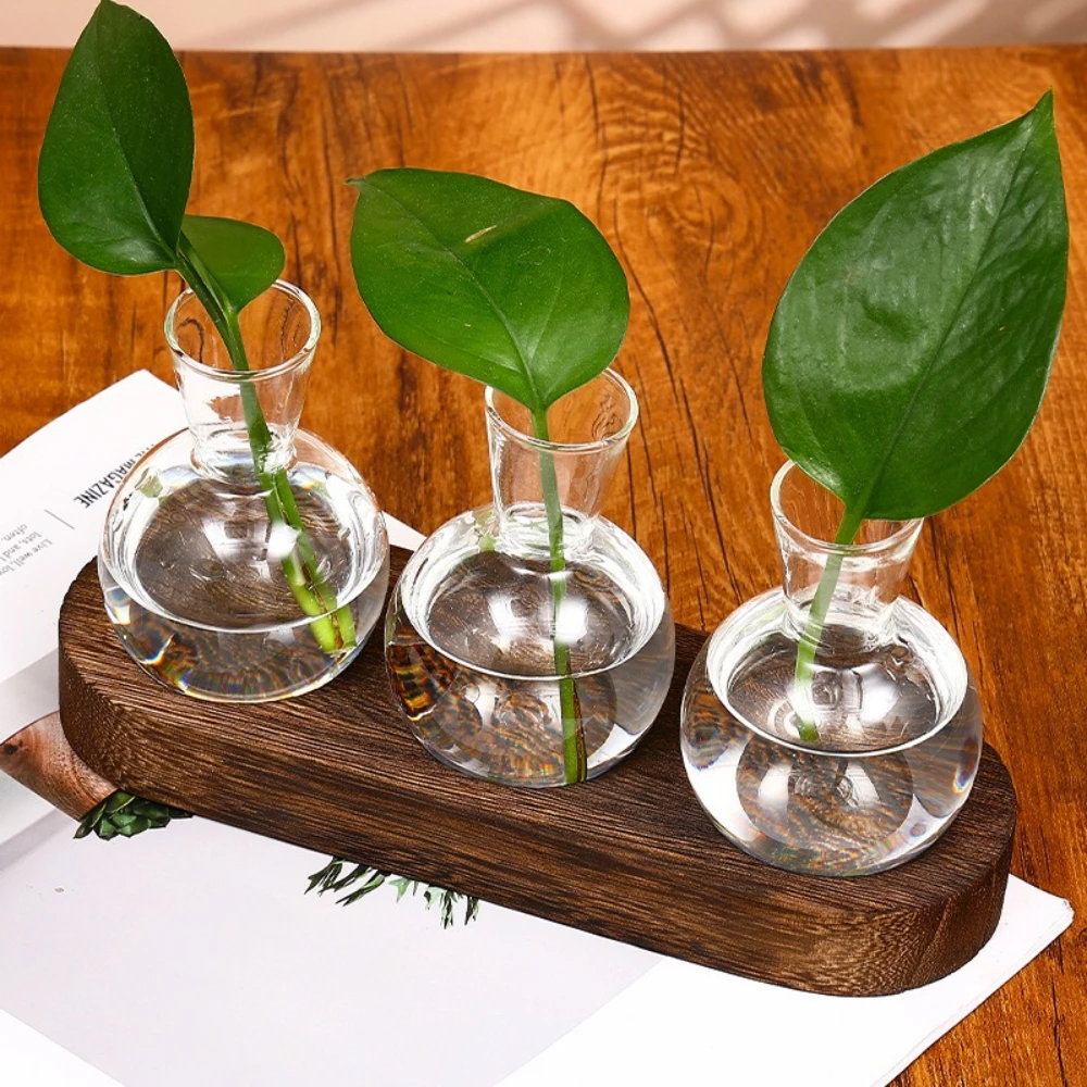 Modern Glass Terrarium with Wooden Tray - Decorative Desktop Plant Propagation Station & Home Decor Planter